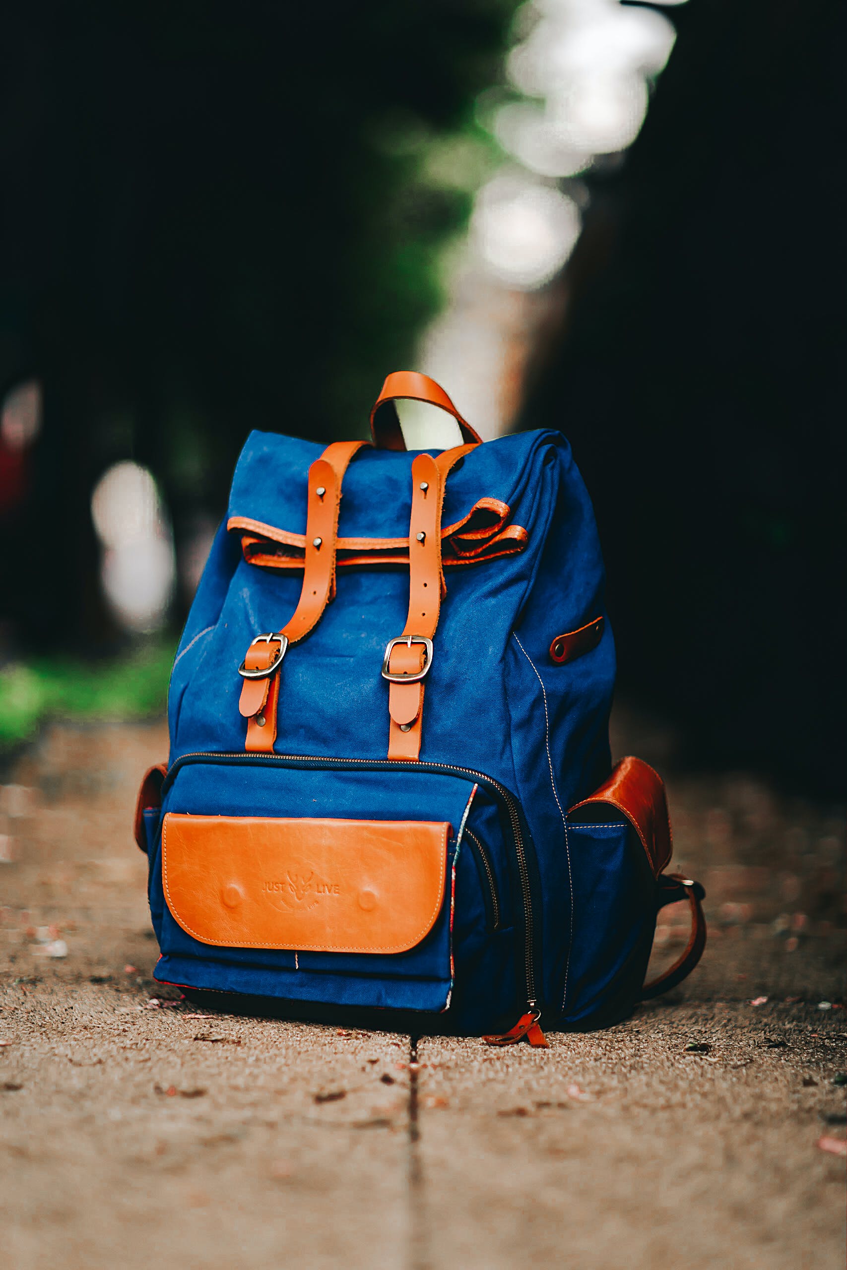 Backpack Icon